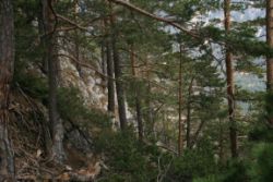 2011-04-24_Regina-F-Rau_Brunnstein-Spitze (047).JPG